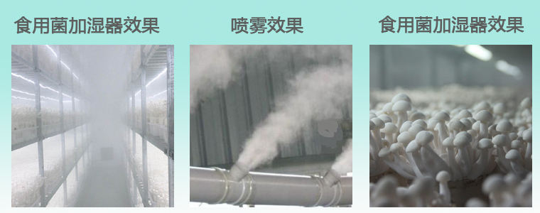 微信圖片_20220425113920.jpg