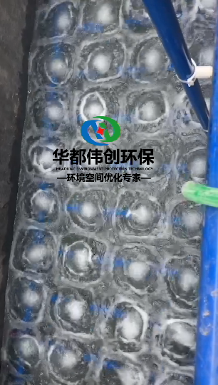 污水池水處理.png