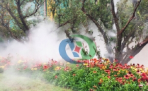 景觀造景（1）