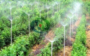 廣西園林高壓噴霧消毒工程施工/園林噴霧降溫系統/農田噴灌設備