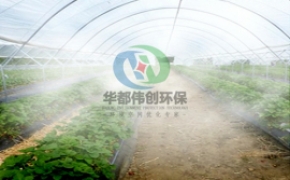 大棚溫度過高有什么好的方法？