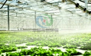 戶外噴霧降溫系統改善溫室大棚種植環境