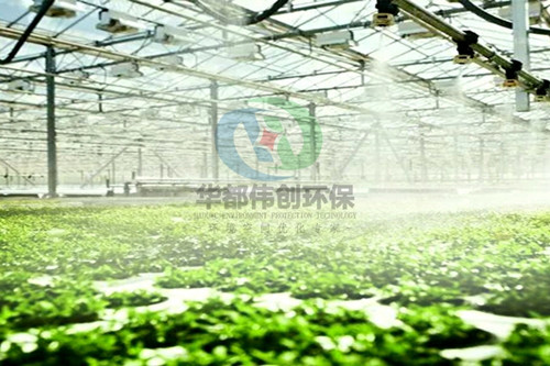 大棚溫度過高有什么好的方法