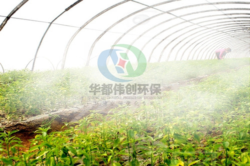 戶外噴霧降溫系統改善溫室大棚種植環境